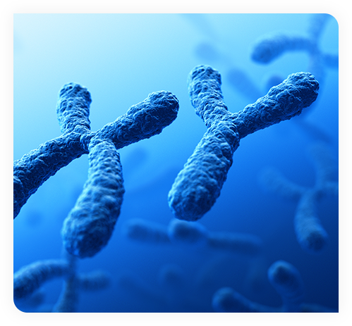 Stem Cell Therapy near me - Platelet Rich Plasma Ft. Lauderdale, FL - Dr. Meli - prp injection - prp treatment - Paul Meli Orthopedics - Regenerative Medicine - Paul Meli Orthopedic Surgeon - Paul Meli Orthopedic Surgery