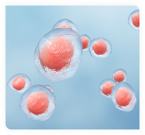 Stem Cell Therapy near me - Platelet Rich Plasma Ft. Lauderdale, FL - Dr. Meli - prp injection - prp treatment - Paul Meli Orthopedics - Regenerative Medicine